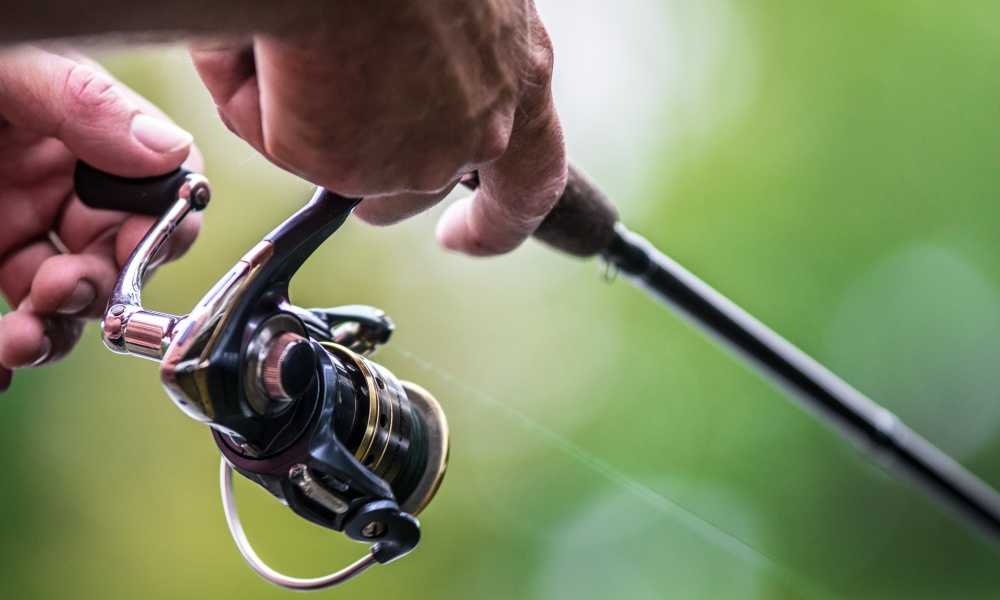 What is a Baitcasting Reel and How It Differs from a Spinning Reel