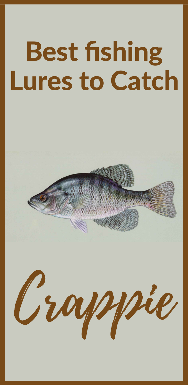 crappie Best Fishing Lures for Crappie