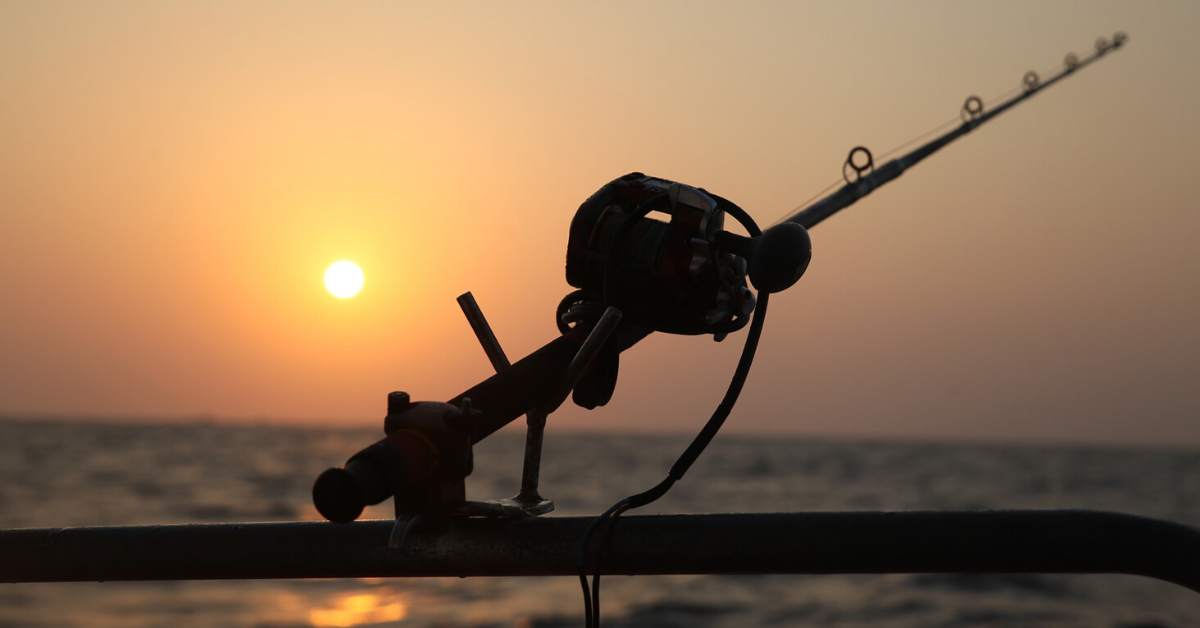 A Guide To Electric Fishing Reels - The Best Fishing Line