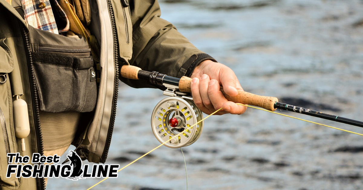 3 Best Salt Water Fly Reels Review - TheBestFishingLine